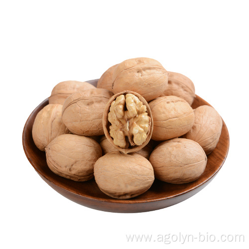 best quality xinjiang new crop 185 walnut kernel